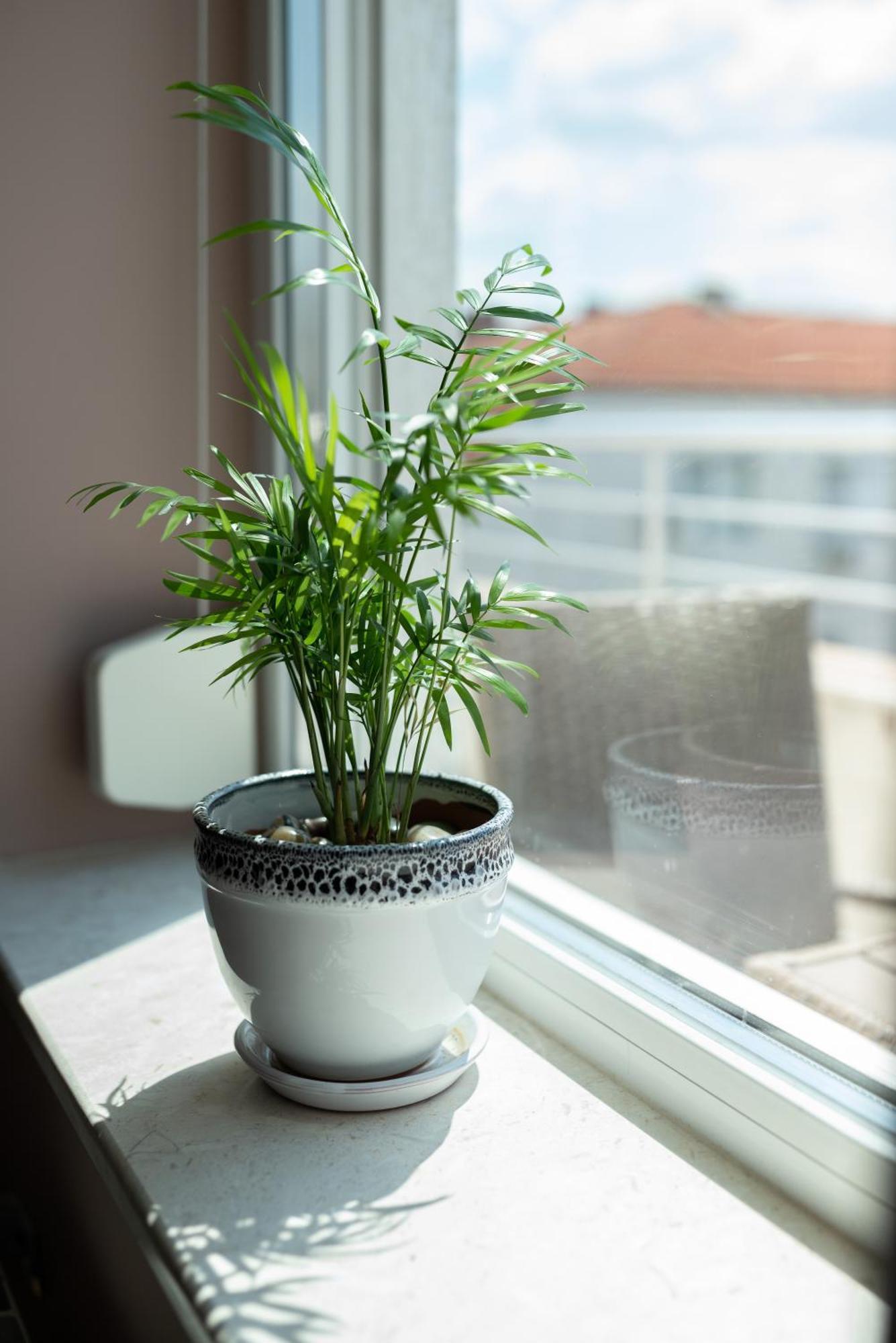 Mdm Apartment City Center Rusze Kültér fotó